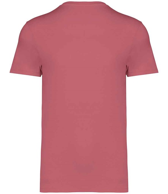 Native Spirit Unisex Heavyweight T-Shirt