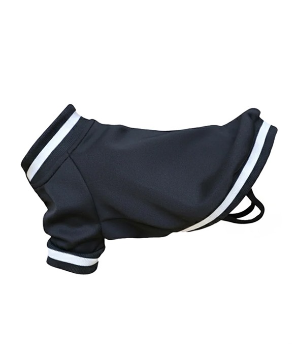 Dog’s varsity jacket