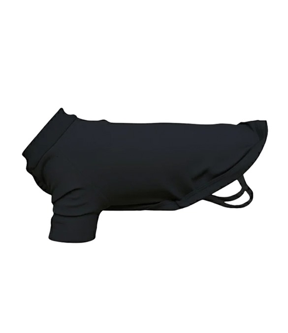 Dog’s raglan t-shirt