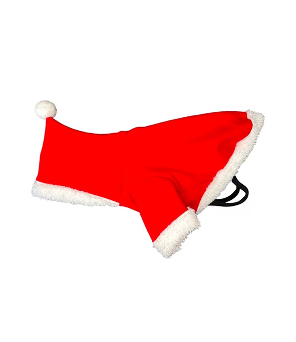 Dog’s Santa hoodie