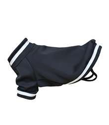 Dog’s varsity jacket