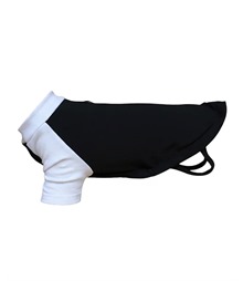 Dog’s raglan t-shirt
